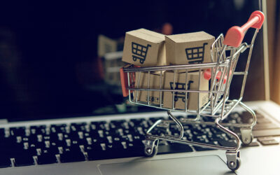 Special eCommerce Website Offer for Small Businesses